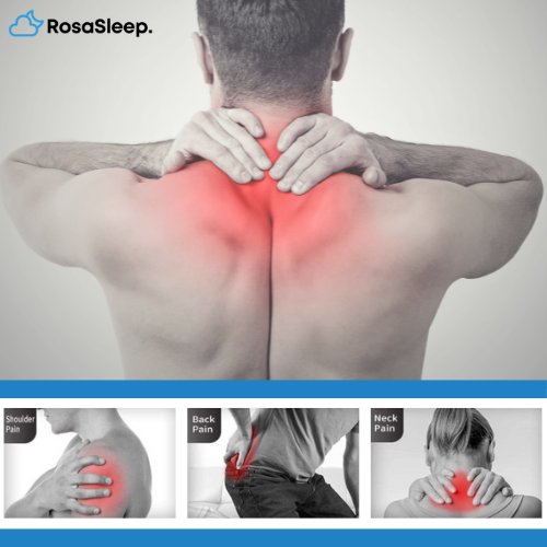 Constant Neck and Back Pain? We’ve Got the Solution!